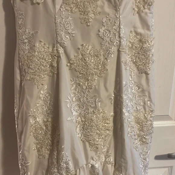 Beautiful Mermaid Lace and Tulle Wedding Dress - Picture 4 of 10